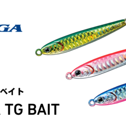 TGベイト
