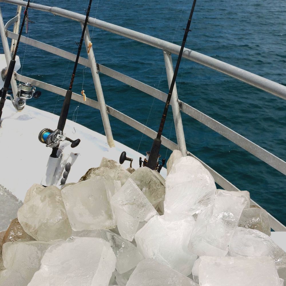 純氷・海水氷の通販 純氷・海水氷の通販