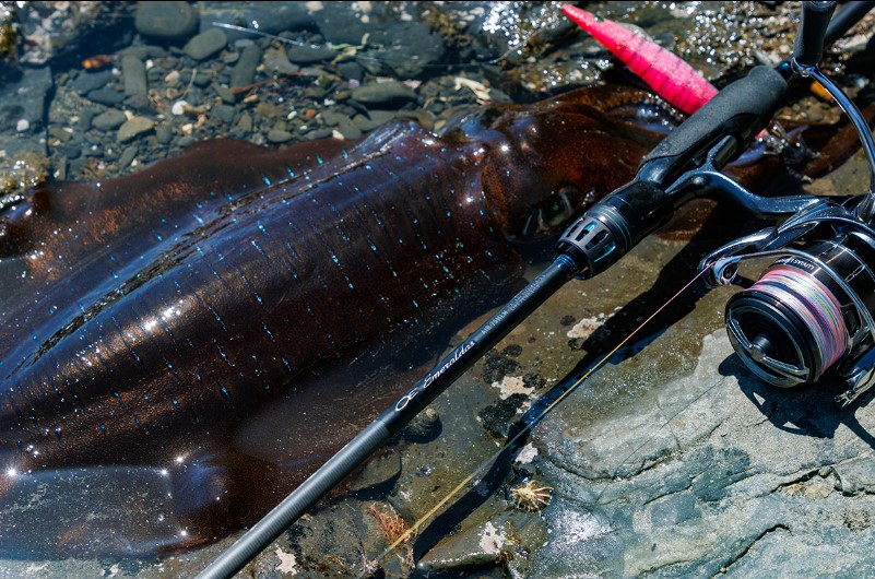 スクリーンショット 2024-08-31 142501