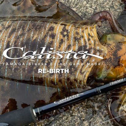 ヤマガブランクス カリスタ