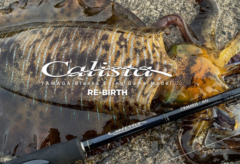 スクリーンショット 2024-09-13 171205 ヤマガブランクス カリスタ