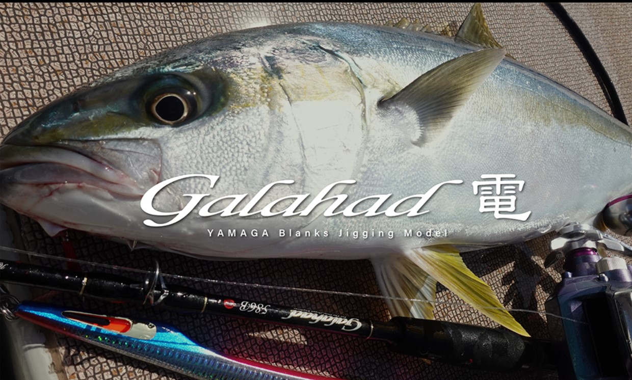 スクリーンショット 2024-12-12 150118