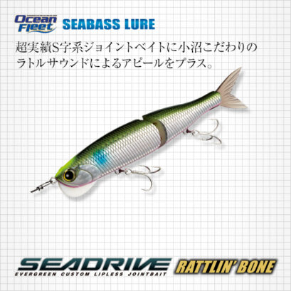 エバーグリーン　シードライブ（ラトリンボーン）